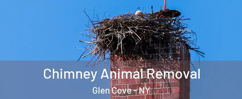 Chimney Animal Removal Glen Cove - NY