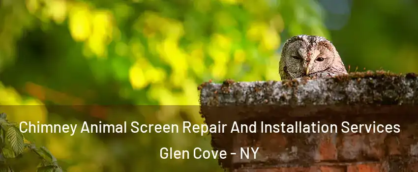  Chimney Animal Screen Repair And Installation Services Glen Cove - NY