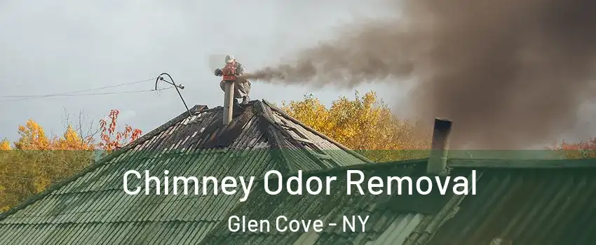  Chimney Odor Removal Glen Cove - NY