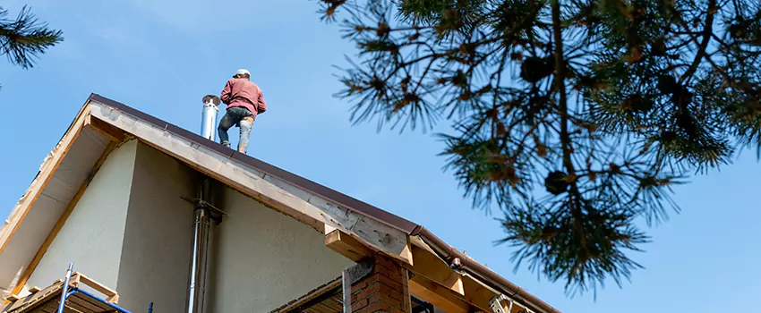 Birds Removal Contractors from Chimney in Glen Cove, NY