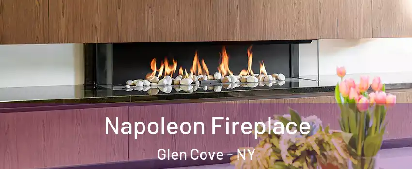  Napoleon Fireplace Glen Cove - NY